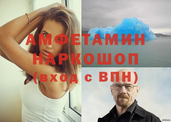 стафф Аркадак