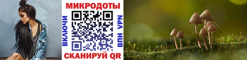 площадка состав купить наркотики сайты Судак Псилоцибиновые грибы Psilocybine cubensis